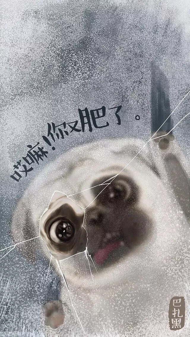 巴扎黑壁纸