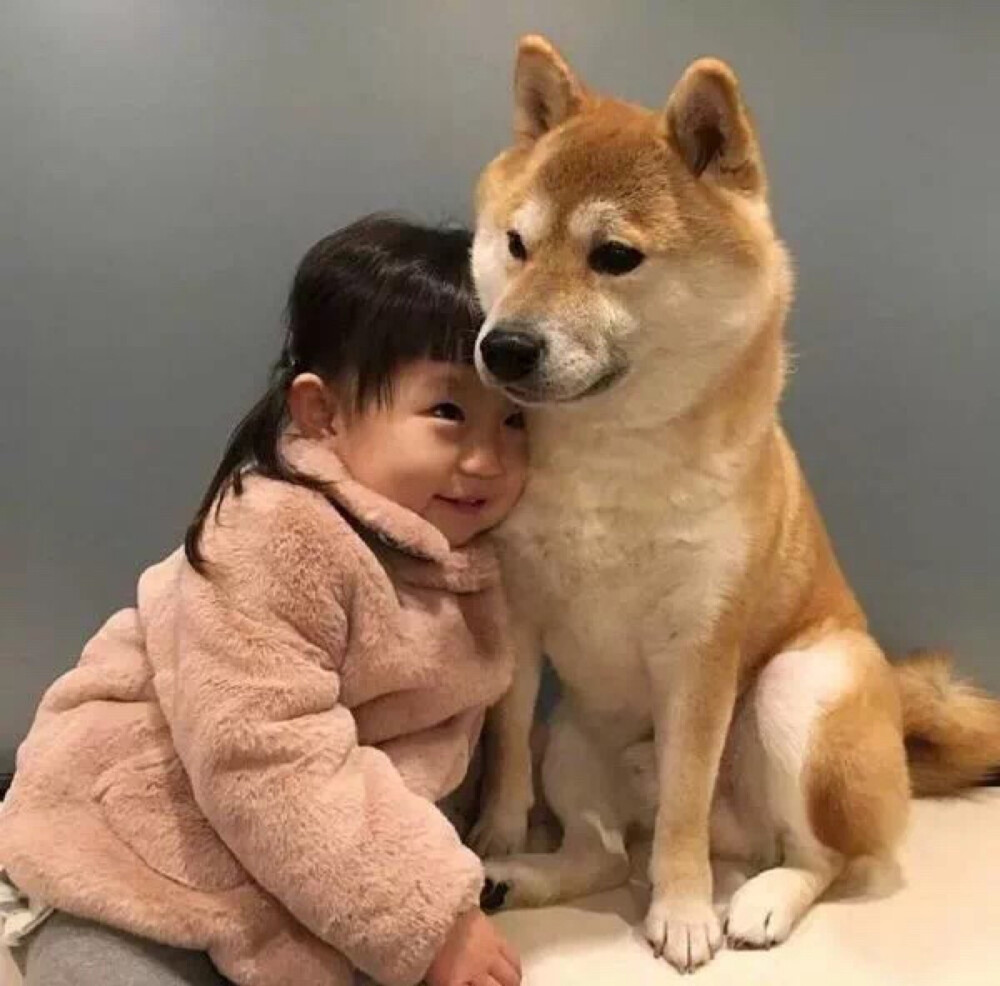 萌宠 动漫 可爱 头像