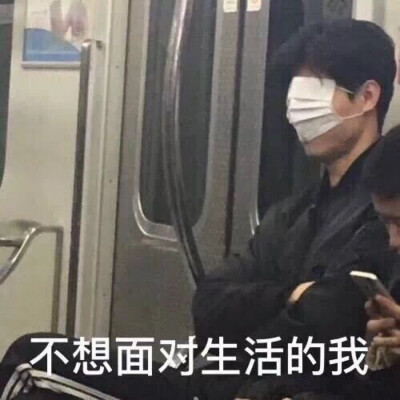 萌宠 动漫 可爱 头像