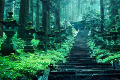 熊本县的上色见熊野座神社，雾雨后简直打破次元壁！！!《螢火之森》取景地