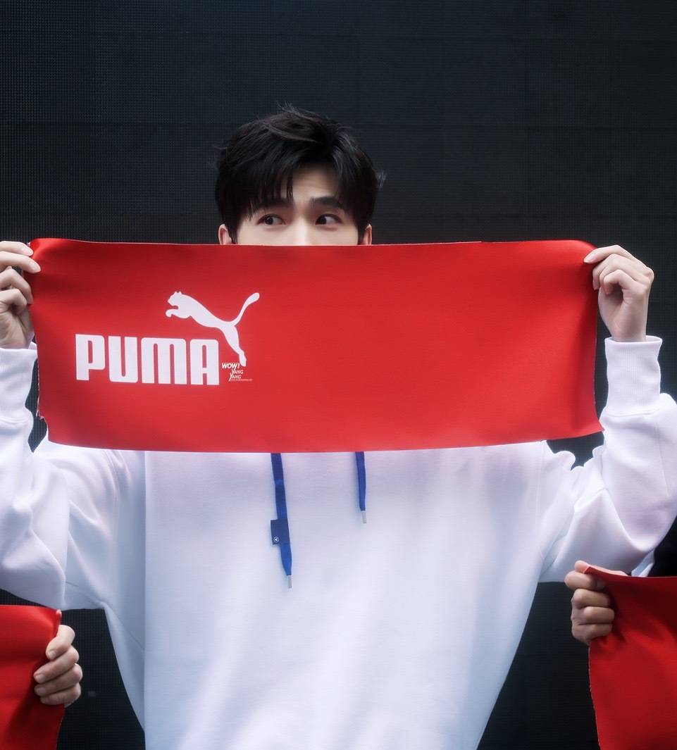 杨洋
高露洁活动，生日会，puma,狐王