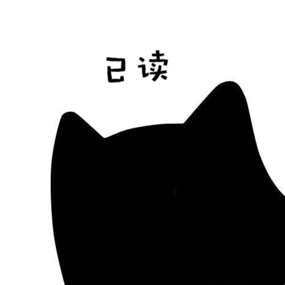 猫猫头