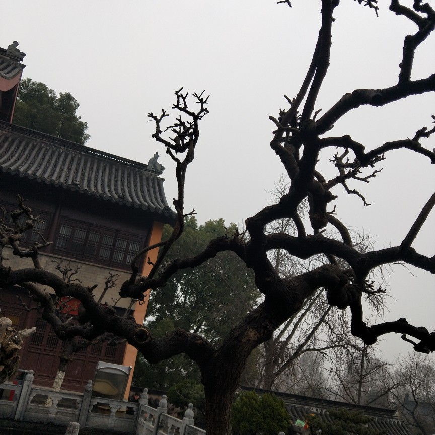 古鸡鸣寺