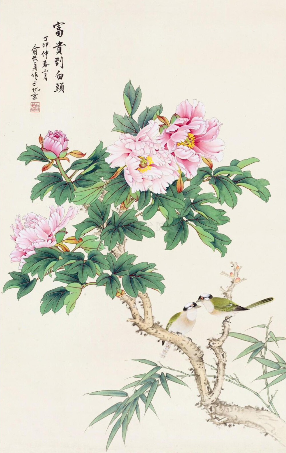 俞致贞 