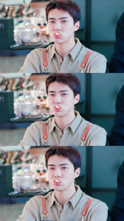 Sehun 