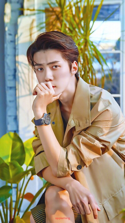 Sehun 