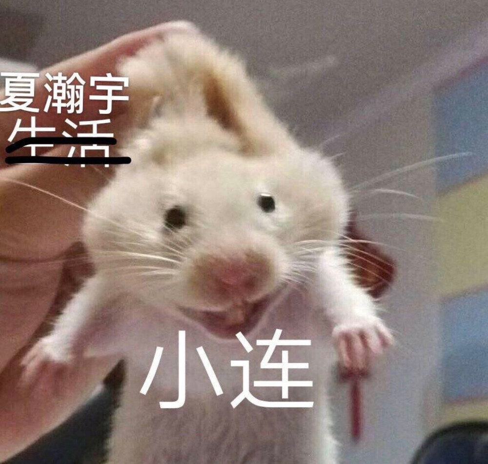 _哈哈哈哈啊哈真的笑死我了