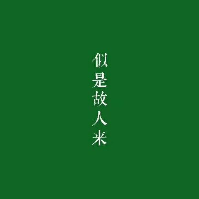 简约纯色文字壁纸