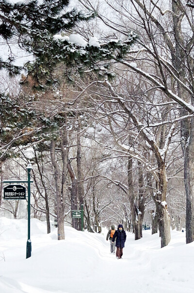 北海道大学