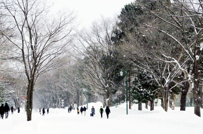 北海道大学