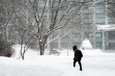 北海道大学