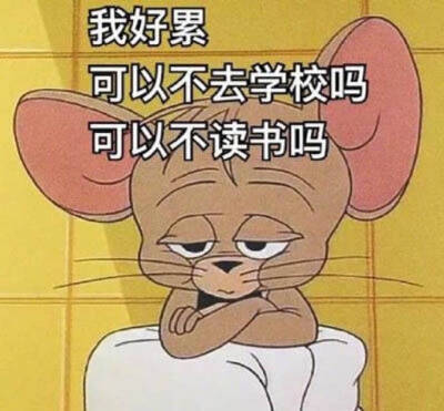 开学enn～