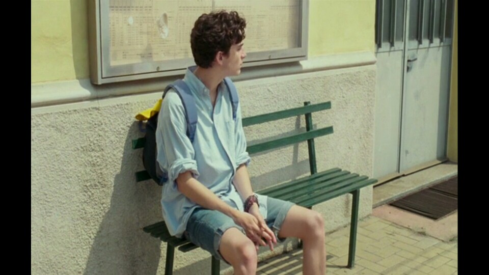  Call me by your name 夏日终曲