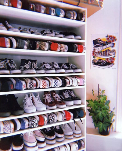 vans