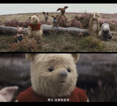 《Christopher Robin》（克里斯托弗·罗宾）美.2018.