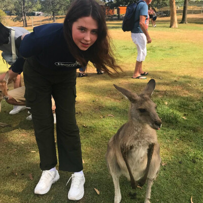 Clairo
