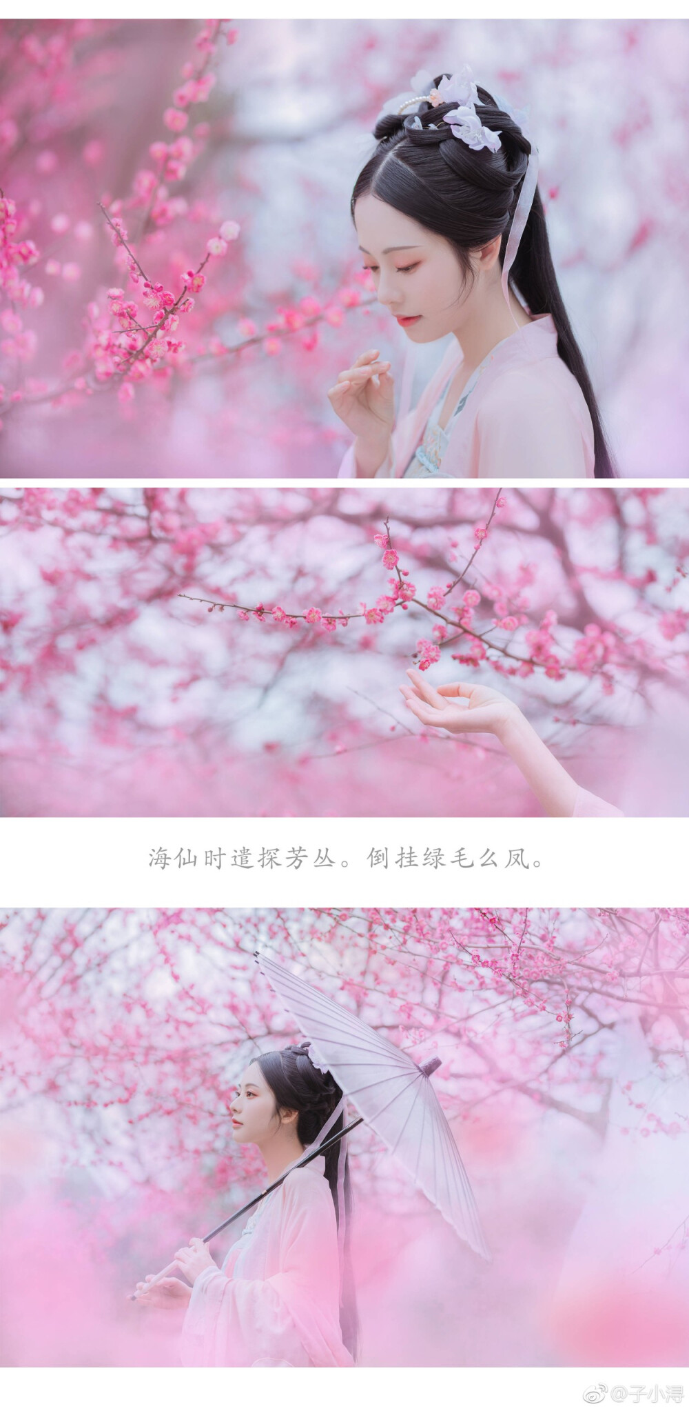 【西江月.梅花】
#成都摄影# ##写真##汉服摄影##汉服写真##重庆约拍###成都约拍#
玉骨那愁瘴雾，冰姿自有仙风。
海仙时遣探芳丛，倒挂绿毛么凤。
素面翻嫌粉涴，洗妆不褪唇红。
妆造/摄影/后期@子小浔
出镜@是雨诗呀 