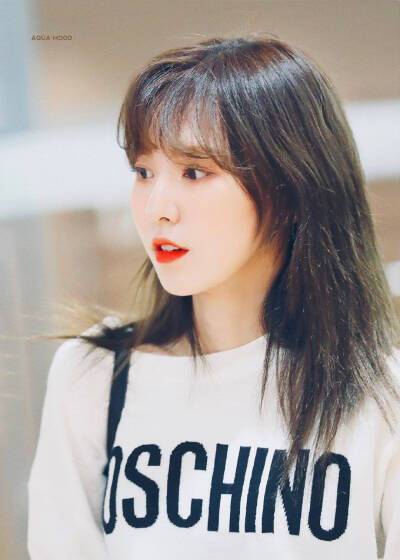 Red Velvet Wendy(孙承欢)