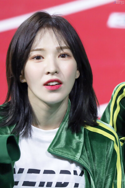 Red Velvet Wendy(孙承欢)