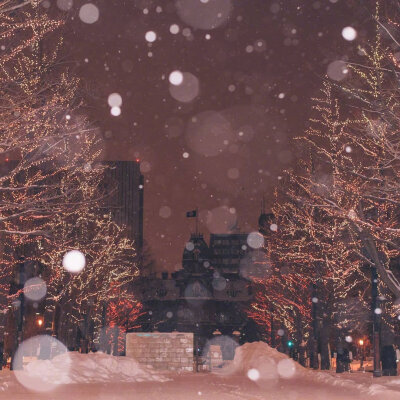 北海道的雪夜