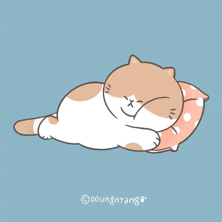 创意画廊肥猫insddungnyangillust
