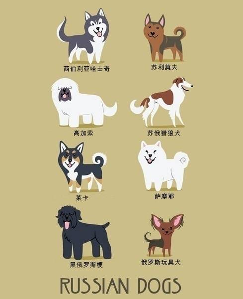 俄罗斯犬种