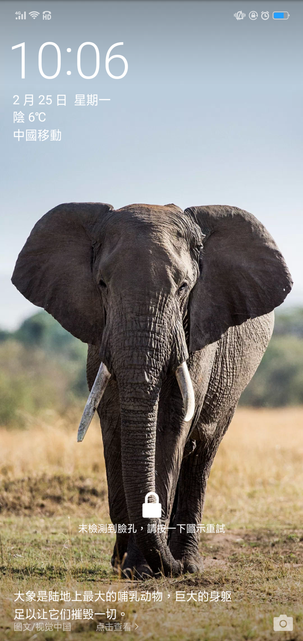 1000_2111竖版 竖屏