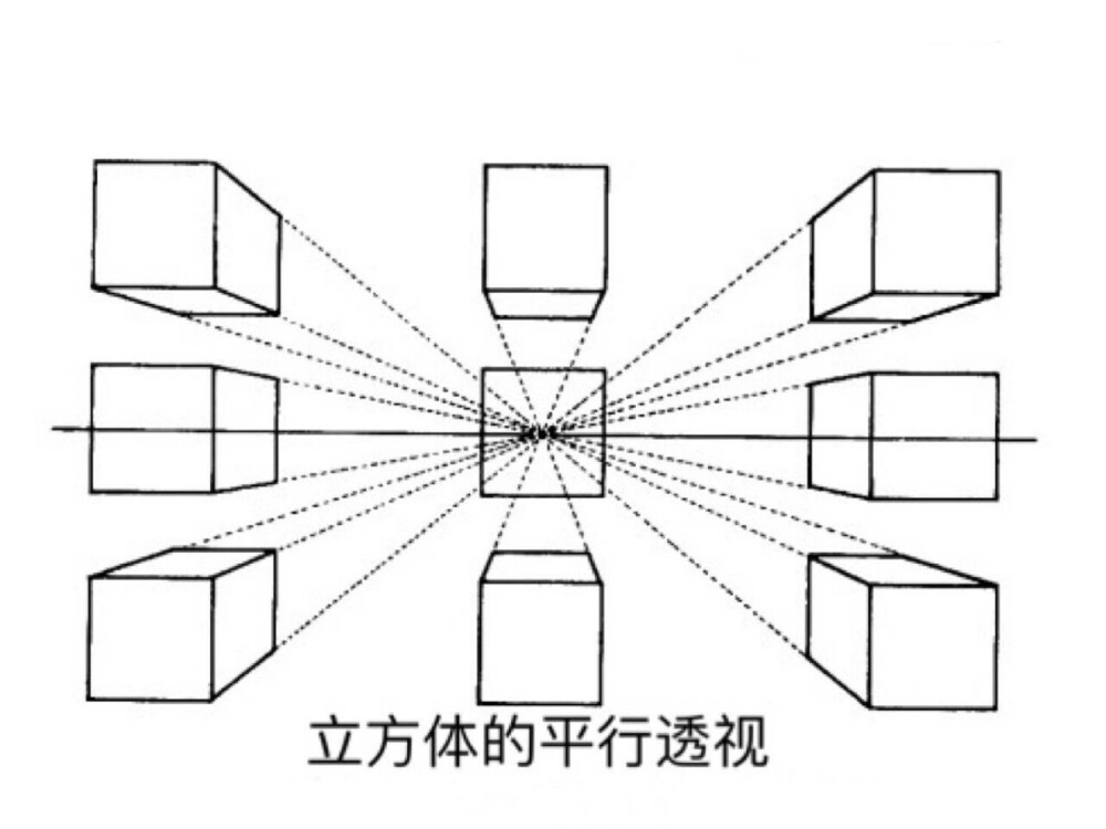 正方体透视