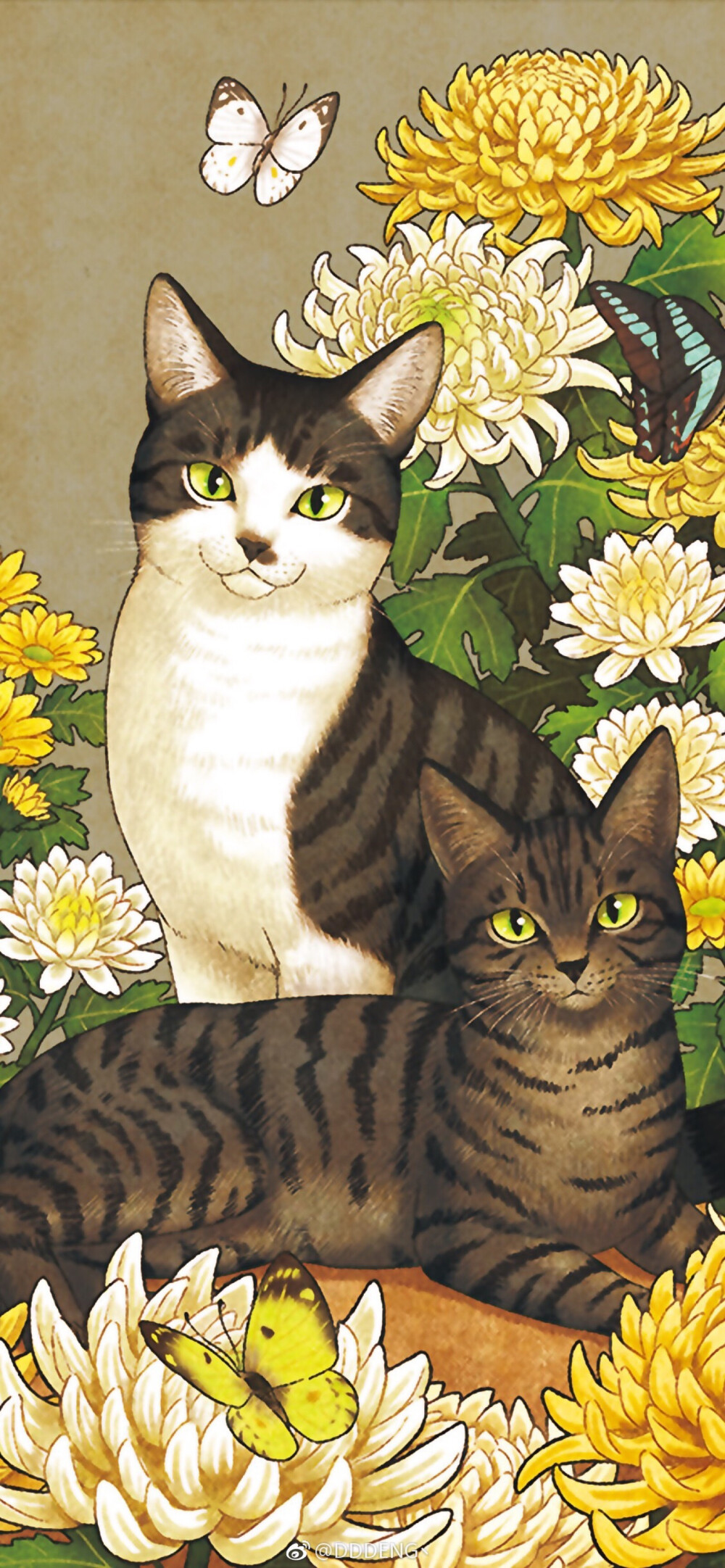 觉得这组猫咪又惊艳又俗艳，但还是很喜欢