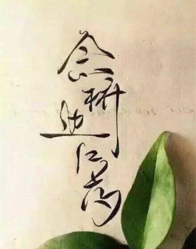 字儿