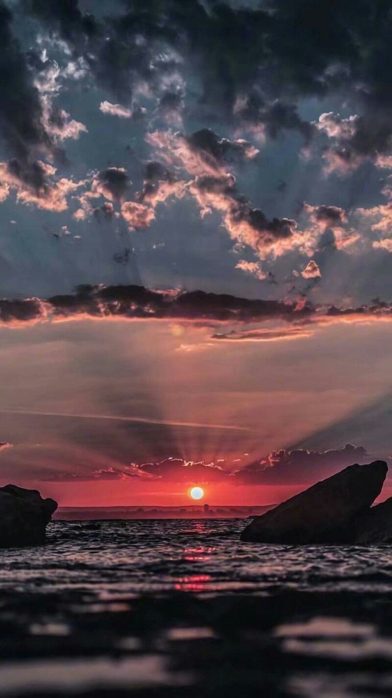 一个
奇怪的梦。