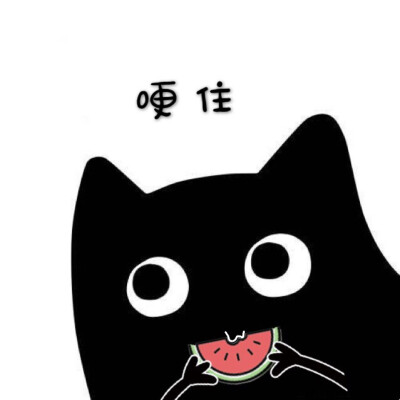 猫猫头