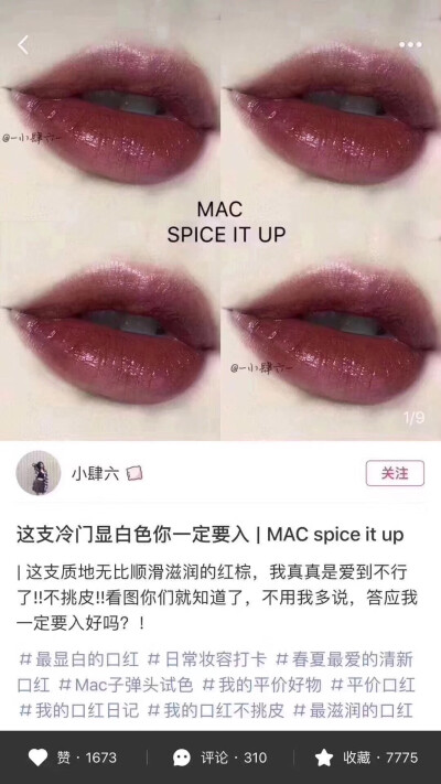 MAC Spice it up