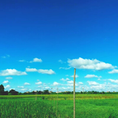 田地，稻谷