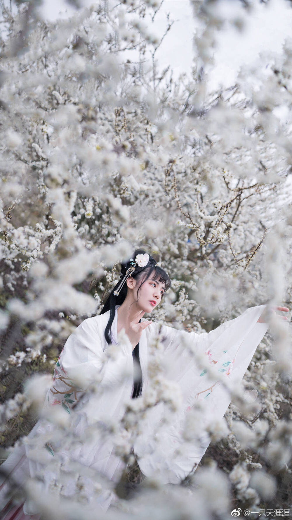 #南宁约拍#
《赞李》
摄/后/造：@一只天涯涯
出镜/妆：@子魚啊
服装/发饰：@梨花渡--原国色芳华负责人 @寒山渡汉服 @悦己容
#摄影##周末去哪儿拍##广西约拍##南宁约拍##汉服约拍#