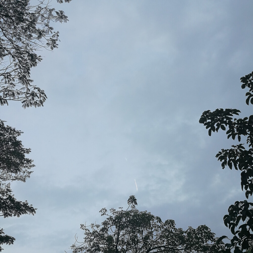 今天也要开心呐！