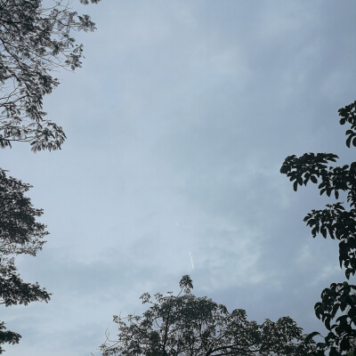 今天也要开心呐！