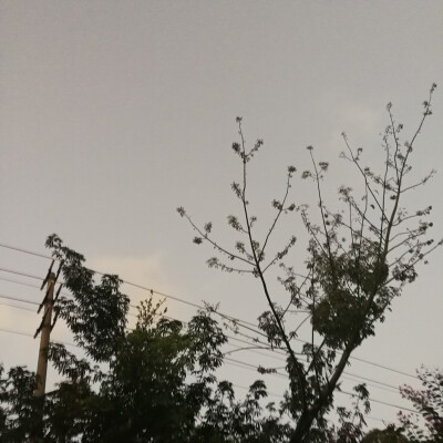 今天也要开心呐！