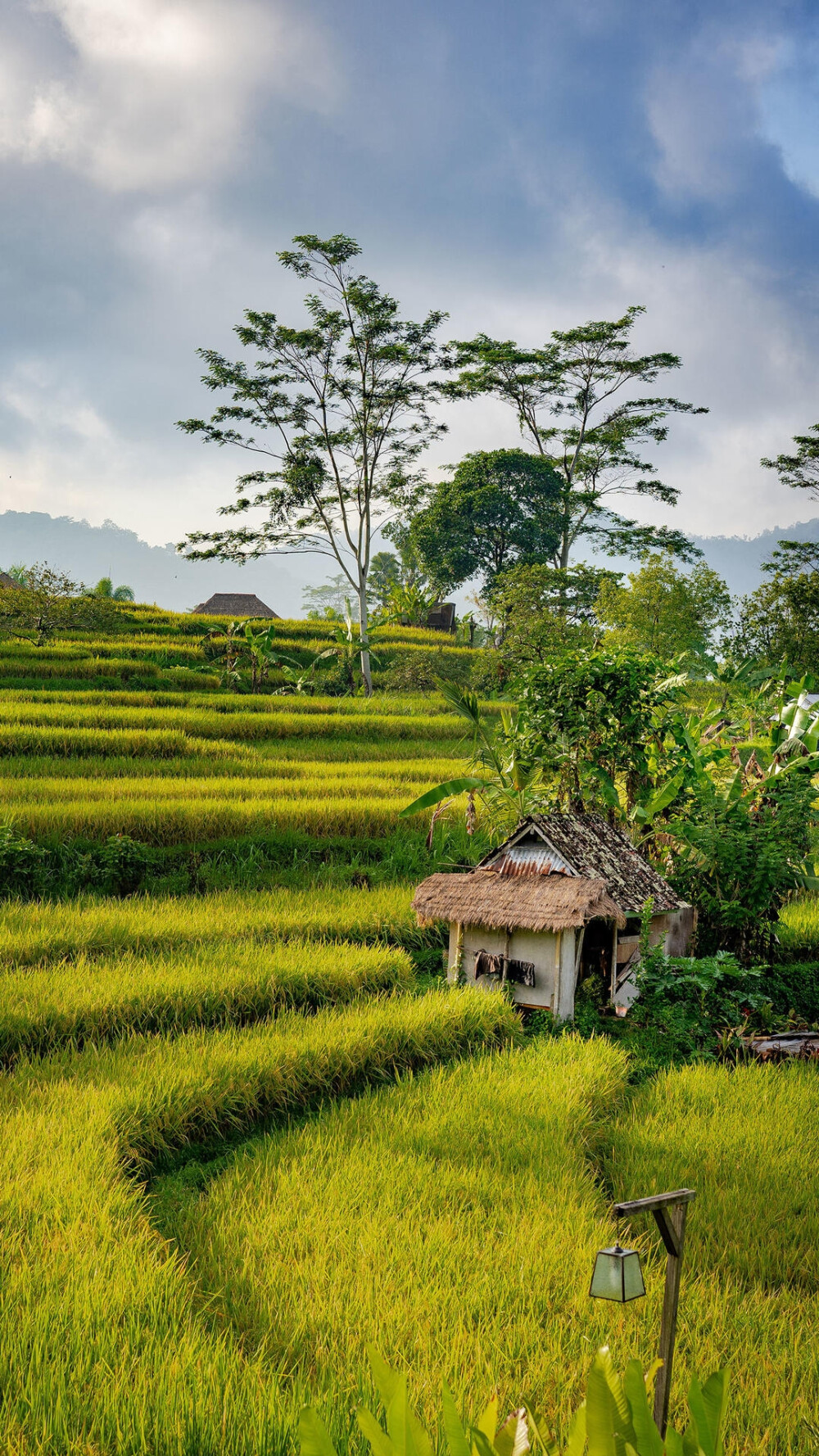 风景