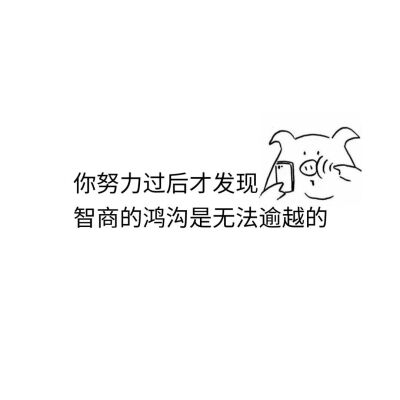 背景图 文字