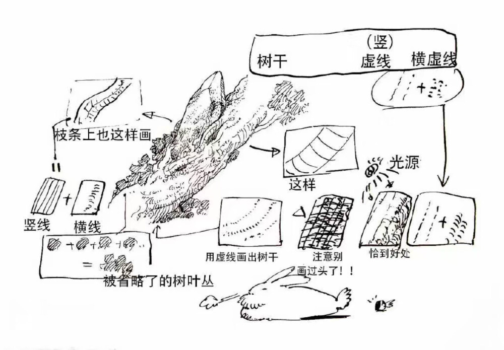 树的画法。
看到这个解决了我多年只会乱画的树。