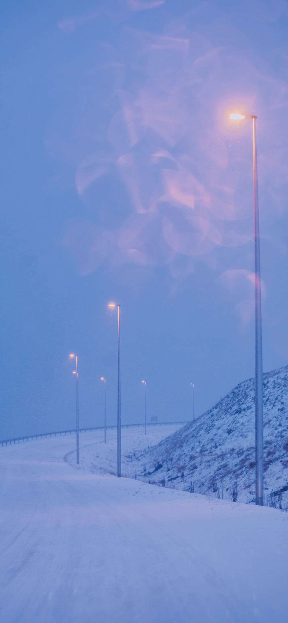 iphonexxrmax高清壁纸春天快来