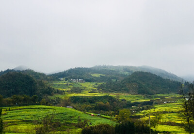 罗平.高山瀑布油菜花