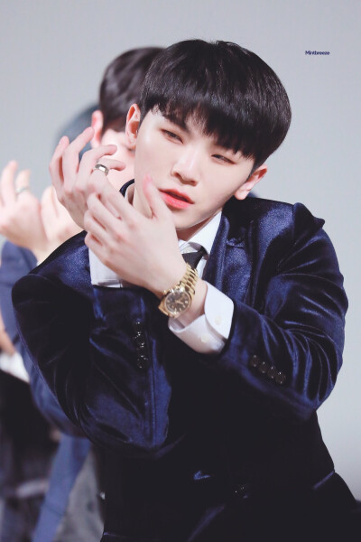 Seventeen
Woozi
李知勋
乌鸡