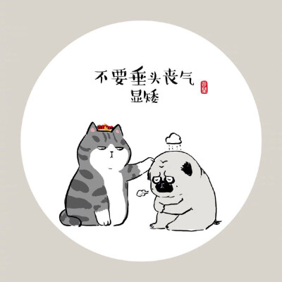 圈圈