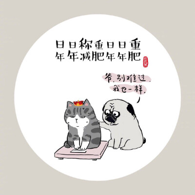 圈圈