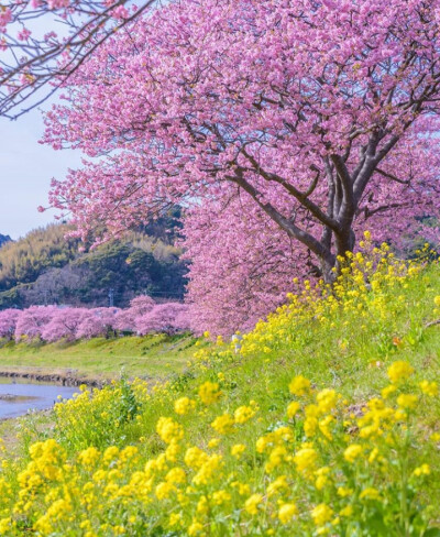 風景