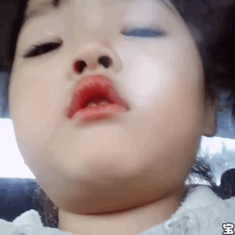 权律二
