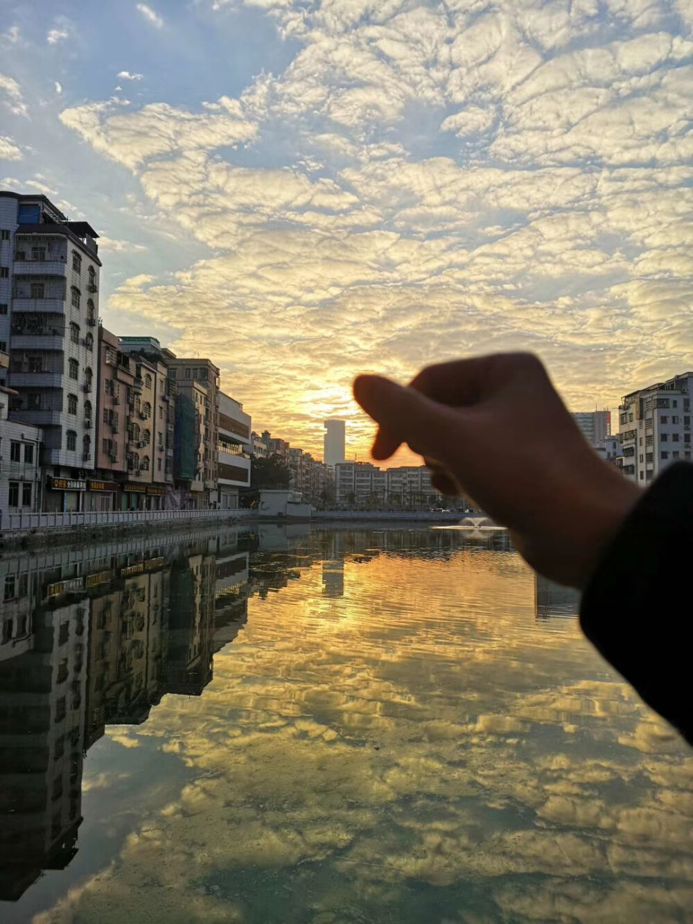 夕阳 池塘
在这个城市看到的
不知道家那边看起来又是一番怎样的景象