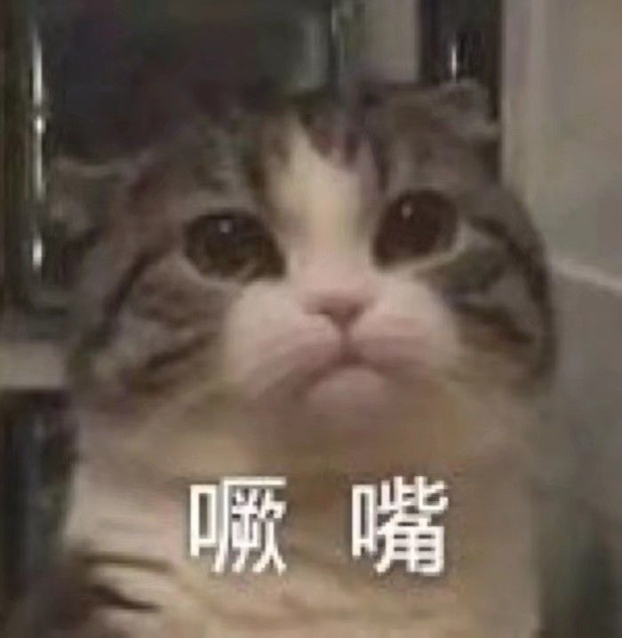 猫表情包